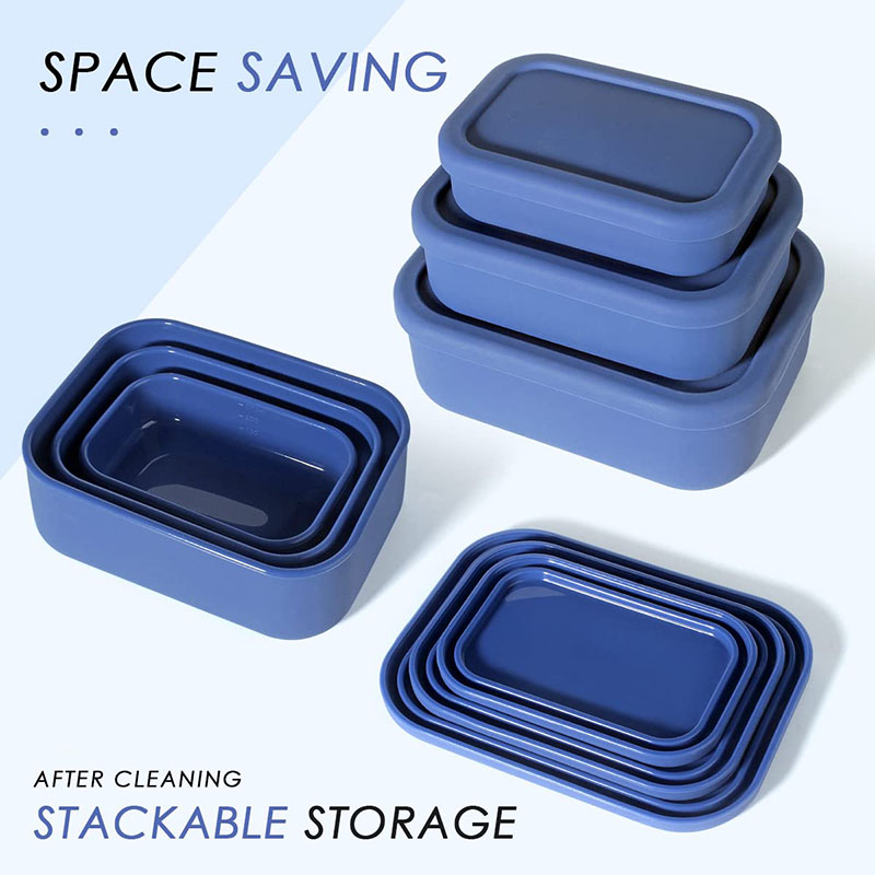 Leak-Resistant Bento Lunch Box - огляд і ціна Meal Prep Lunch Boxes