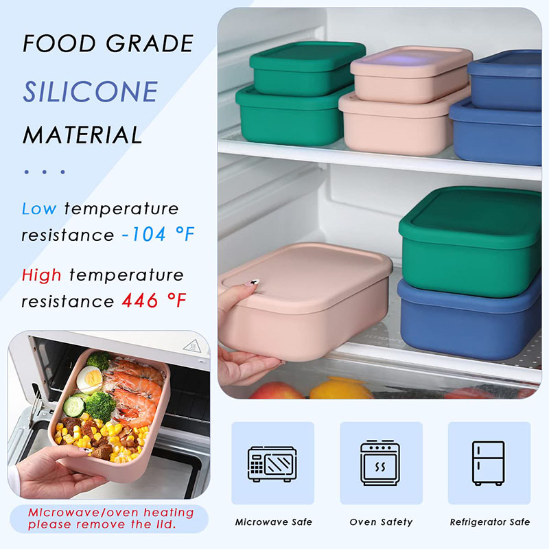 Leak-Resistant Bento Lunch Box - огляд і ціна Meal Prep Lunch Boxes